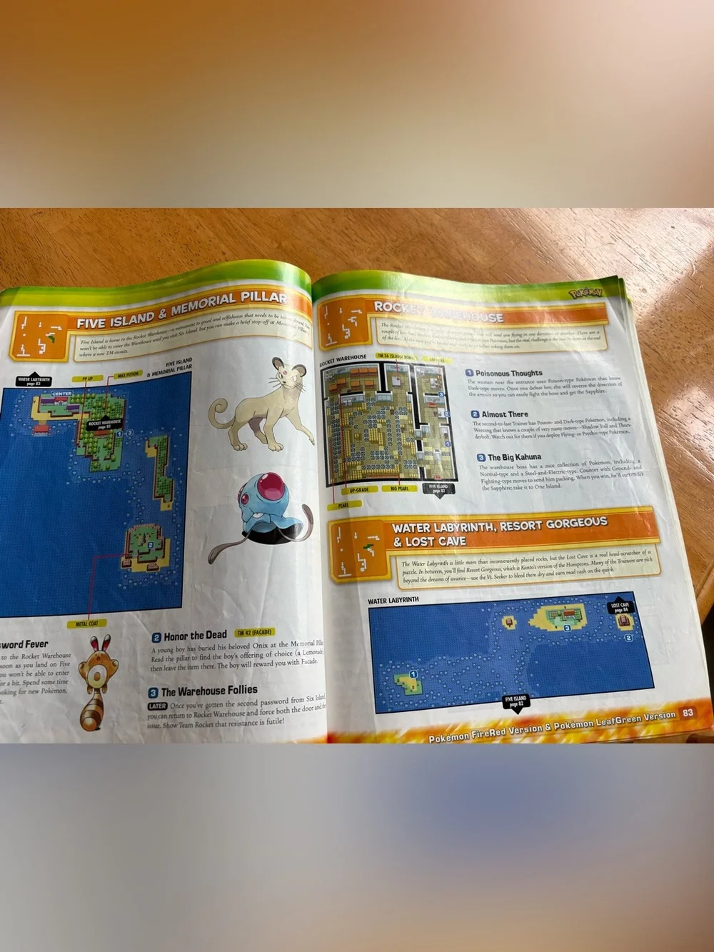 Vintage Original Pokemon FireRed & LeafGreen Official Player's Guide 2004